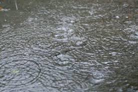 梅雨　塗装