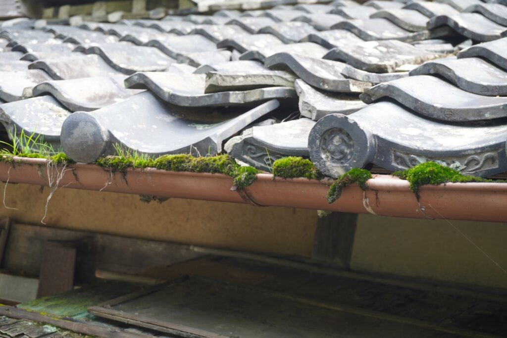 宇都宮市での修理が必要な状態の屋根