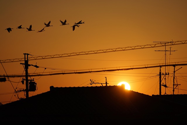冬の外壁塗装で霜が降りる夕方前には施工を終えることが大切という内容をイメージさせる夕暮れの画像