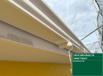 宇都宮市の外壁塗装における雨樋の塗装作業中