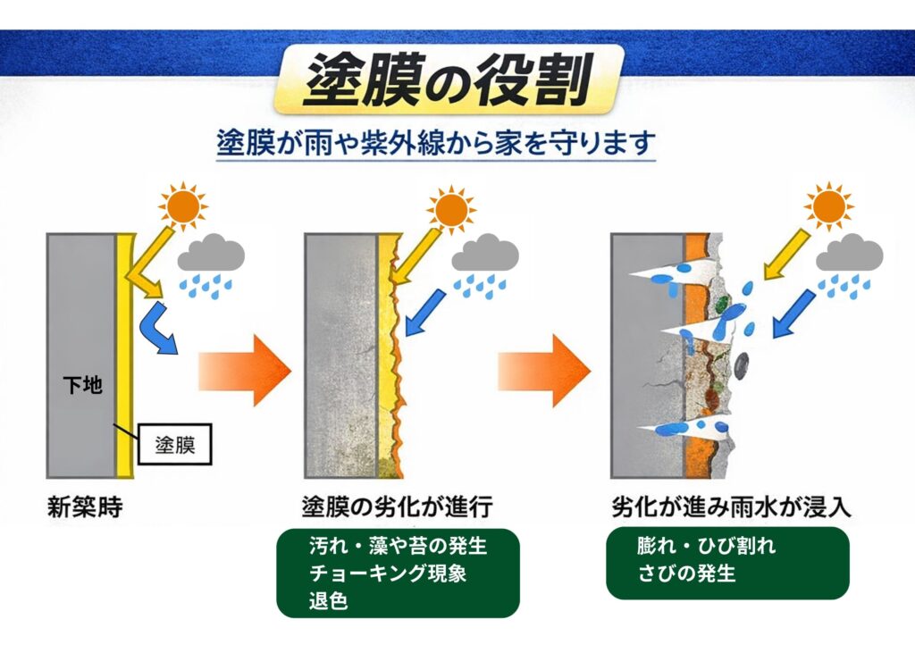 塗膜の役割の説明