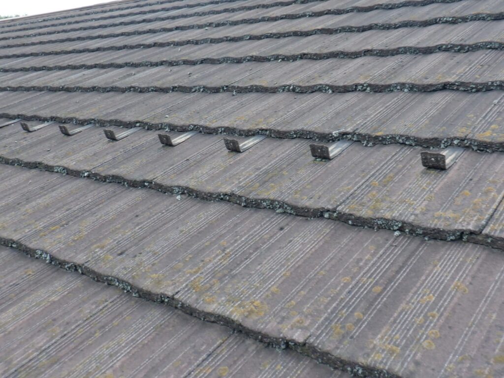 防水世営農が劣化して屋根の表面に苔が生えて知っている様子の写真