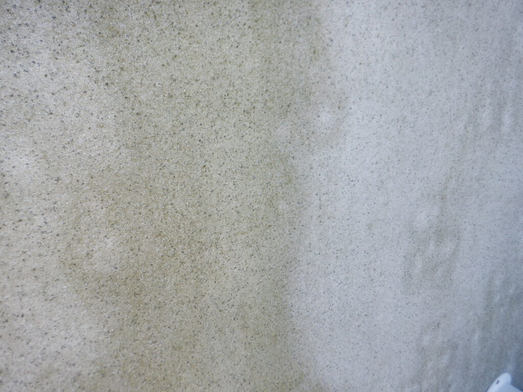 苔・カビが発生している外壁の写真