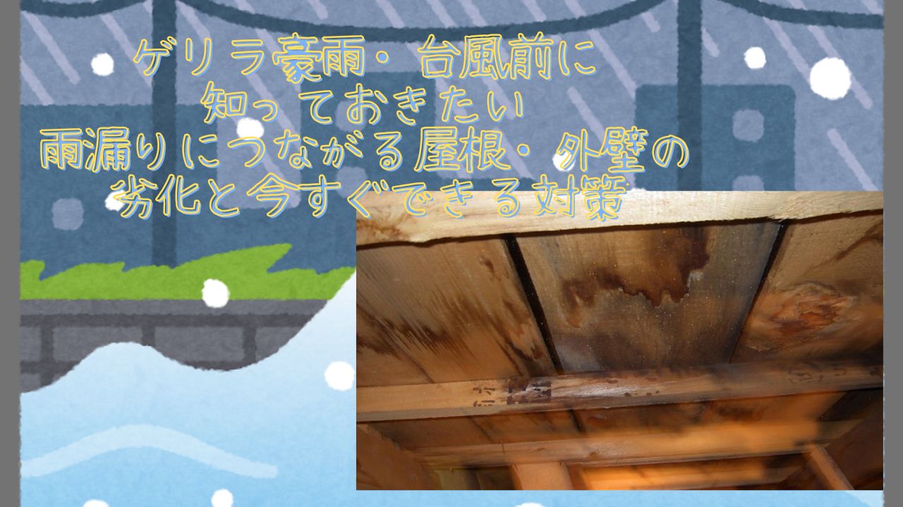 ゲリラ豪雨・台風前に